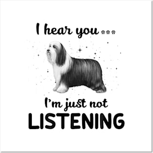 Bearded Collie I hear you Iam just not listening Posters and Art